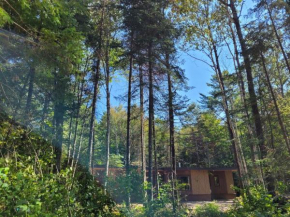 Nomi Resort